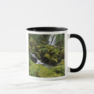 Tasse Amérique du Nord, États-Unis, Alaska. Une cascade