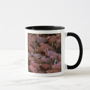 Tasse Amérique du Nord, États-Unis, Alaska, Yukon Delta