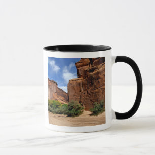 Tasse Amérique du Nord, États-Unis, Arizona, Indien Nava