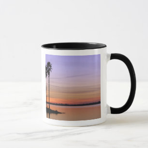 Tasse Amérique du Nord, États-Unis, Floride, Mt Dora, un
