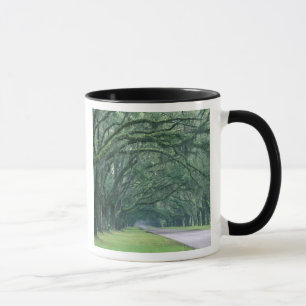 Tasse Amérique du Nord, États-Unis, Géorgie, Savannah