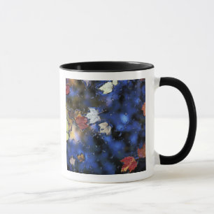 Tasse Amérique du Nord, États-Unis, NH, Feuilles dans un