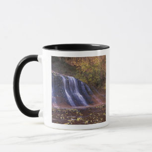Tasse Amérique du Nord, États-Unis, Utah, parc national 