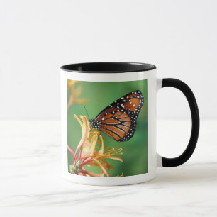 Tasse Amérique du Nord, États-Unis, WA, Seattle, Woodlan
