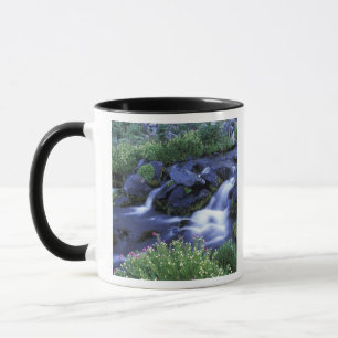 Tasse Amérique du Nord, États-Unis, Washington, Mt. Rain