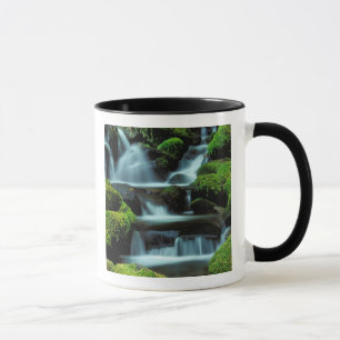 Tasse Amérique du Nord;États-Unis; Washington, Sol Duc