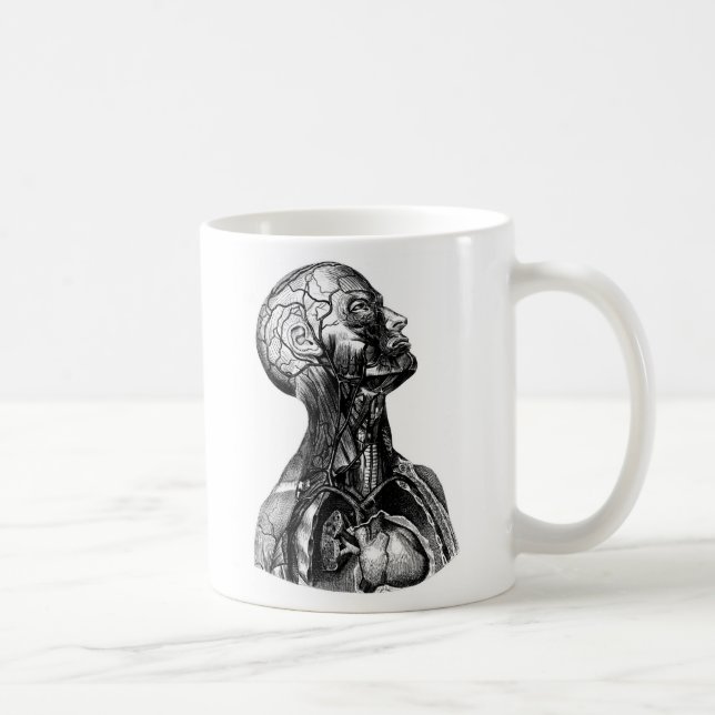 Tasse anatomique de dessin de torse supérieur (Droite)