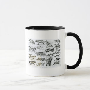 Tasse Animaux carnivores