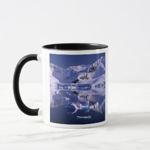 Tasse Antarctique, baie du Paradis