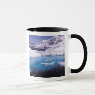Tasse Antarctique. Expédition à travers les paysages de