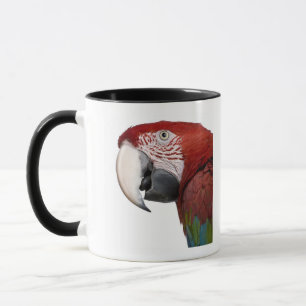 Tasse ara Rouge-et-vert - chloropterus d'arums