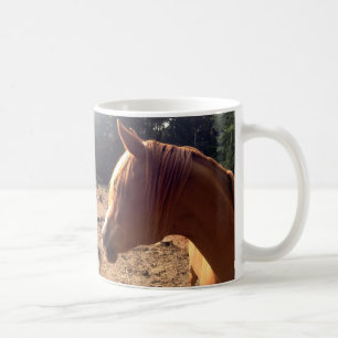 Tasse Arabe de cheval