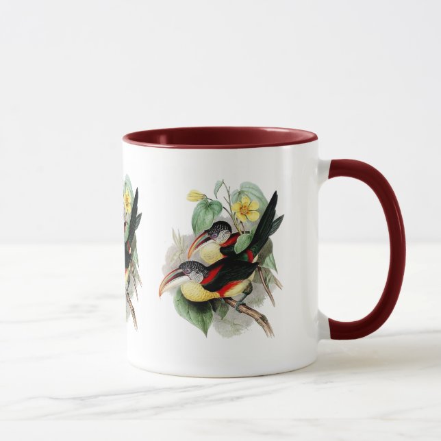 Tasse Aracari Bouclé-crêté (Droite)
