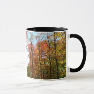 Tasse Arbres d'automne et ciel bleu Photographie de la n