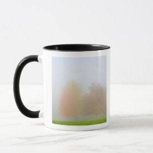 Tasse Arbres de chute enveloppés en brume