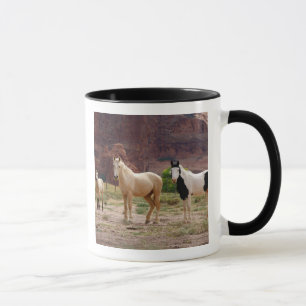 Tasse Arizona, réserve indienne navajo, Chinle,