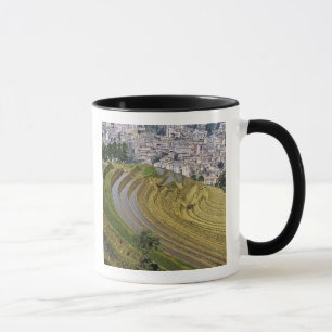 Tasse Asie, Chine, province du Yunnan, Jinping. Jinping
