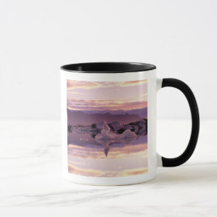 Tasse Atlantique Nord, Islande, Breioamerkurjokull
