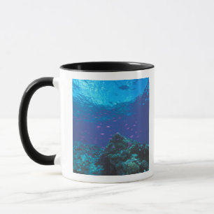 Tasse Australie, Grande Barrière de corail. Fourmillant