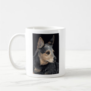 Tasse australienne de chien de bétail - "Quigley "