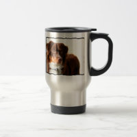 Tasse australienne de voyage de berger