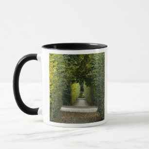 Tasse Autriche, Vienne. Baroque de Marie-Thérèse 2