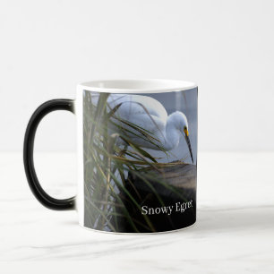 Tasse avec photo d'Aigrette neigeuse
