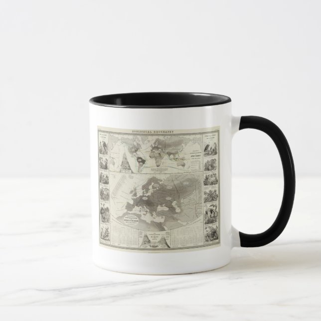 Tasse Aves, Oiseaux (Droite)