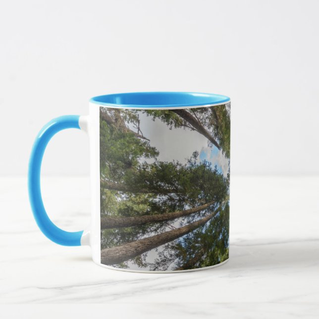 Tasse Barrage de Douglas Fir (Gauche)