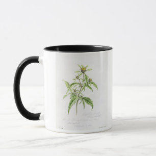 Tasse Bavure-Souci Trifid, peint chez Hampstead, ęr Se