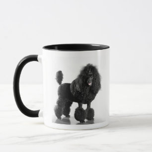 Tasse Beau, équilibré, noir, corps complet de caniche