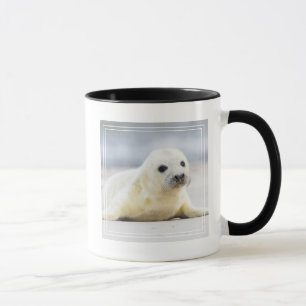 Tasse Bébé phoque des images   de Getty