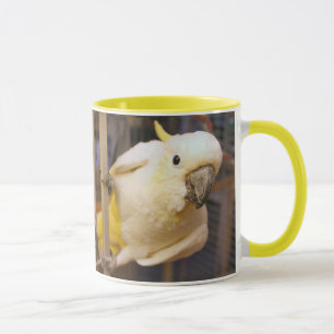 Tasse Bella boy