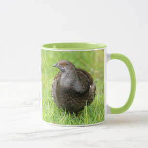 Tasse Belle grenouille à soie dans l'herbe