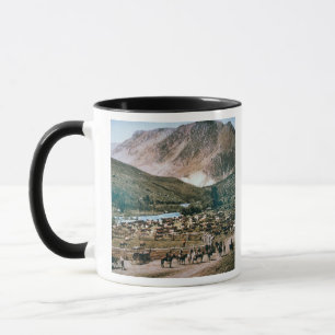 Tasse Bétail, le Colorado, 1899 (photo)