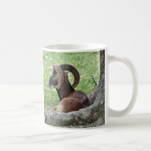 Tasse Bighorn