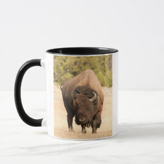 Tasse Bison