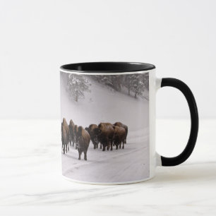 Tasse Bison en hiver