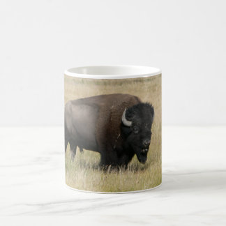 Tasse blanche classique de Buffalo