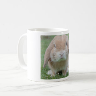 Tasse blanche classique de lapin potelé