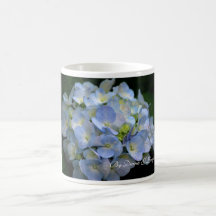 Tasse-Blaue Hydrangea-Blumen