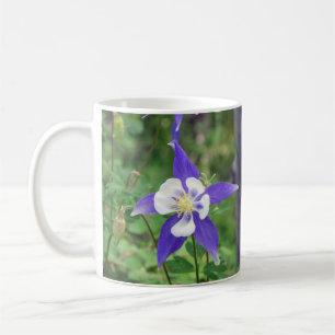 Tasse bleue du Colorado Columbine