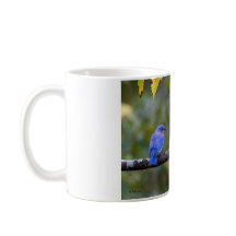 Tasse - BlueBird