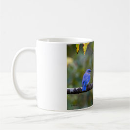 Tasse - BlueBird