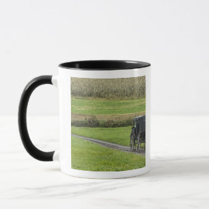 Tasse Boguet amish sur la ruelle de ferme, Ohio du