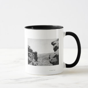 Tasse Bois mort comme vu de la photographie blanche de