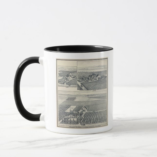 Tasse Bonacourt Ranch, Washington Colony, Californie (Gauche)