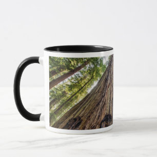 Tasse Bosquet Roosevelt