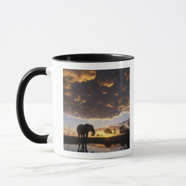 Tasse Botswana, Chobe National Park, Elephant (Gauche)