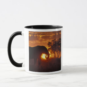 Tasse Botswana, Parc national de Chobe, Bull Elephant